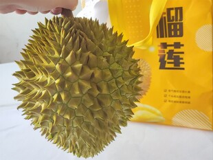 新鲜榴莲特写