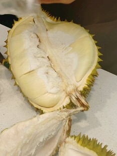 剥开的榴莲果肉