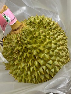新鲜带刺榴莲特写