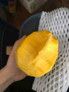 手持去皮黄色芒果