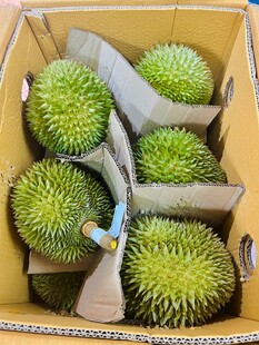 盒装新鲜榴莲果