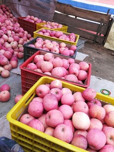 筐中堆放的新鲜红苹果