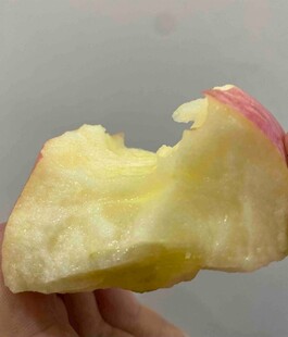 咬过一口的新鲜红苹果