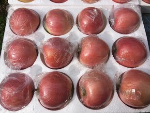 盒装新鲜红苹果展示