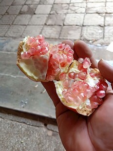 手持彩色糖霜装饰的甜点