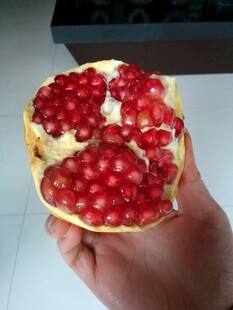 手捧剥开的新鲜红石榴