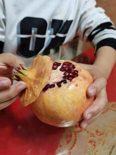 手捧剥开的新鲜红石榴