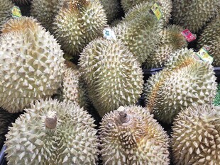 新鲜饱满的榴莲堆叠