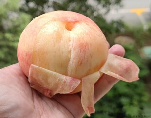 手剥新鲜水蜜桃
