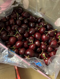 新鲜饱满的车厘子
