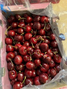新鲜饱满的车厘子果粒