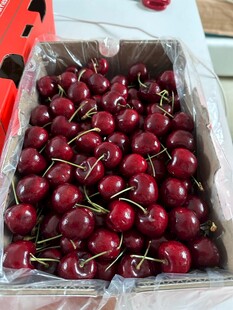 新鲜饱满的盒装樱桃