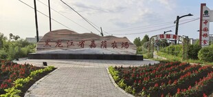 黑龙江省伊春市嘉荫农场大门