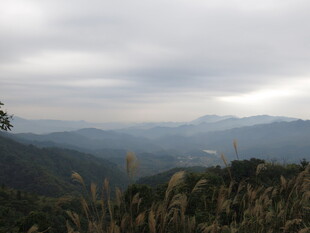 山间云雾缭绕的壮美景色
