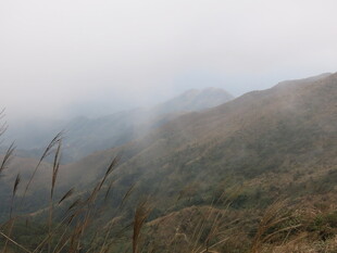 山间云雾缭绕的朦胧景致