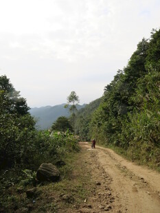 山间土路 一人独行