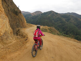 山地骑行者穿梭山间小道