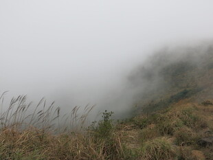 山间迷雾中的草地景致