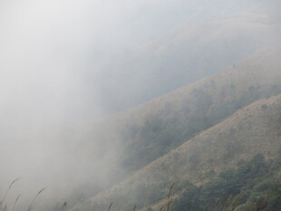 山间云雾缭绕的朦胧美景