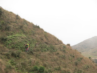 徒步者攀登绿意山坡