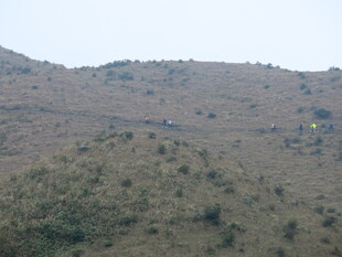 山丘景色 植被覆盖的地貌