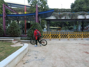 儿童在户外骑车玩乐场景