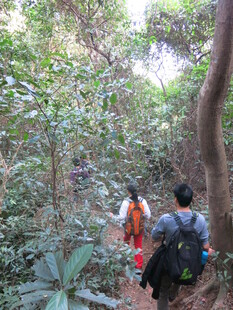 两人林间徒步之旅