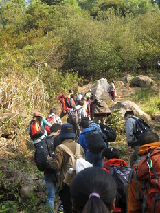 户外徒步队伍穿行山林间