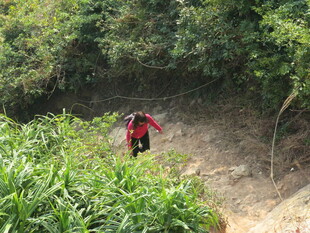 徒步者穿行于绿意山林间