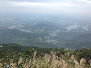 山顶俯瞰广阔自然风光