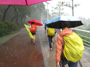 雨中行人撑伞穿雨衣前行