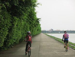 骑行者沿绿荫小道惬意骑行