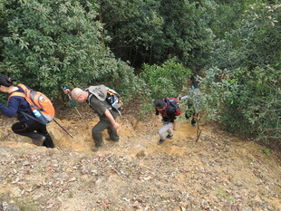 户外团队徒步穿越山林