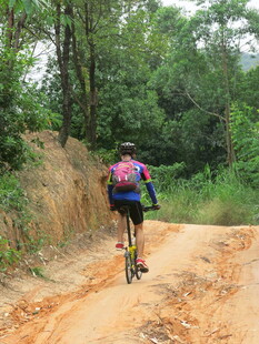 骑行者穿梭于山林土路