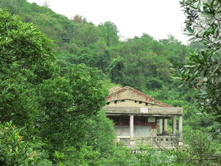 山林中的古朴小屋