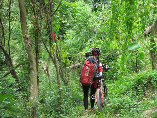 森林中徒步的背包客