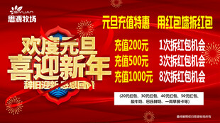 欢度元旦喜迎新年促销