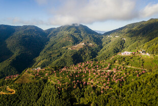山间村落美景
