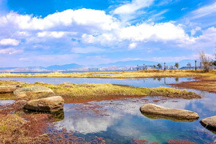 湖畔美景 