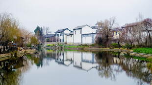 江南水乡河畔宁静景致
