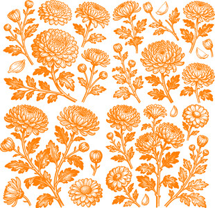 橙色菊花花卉图案背景纹理