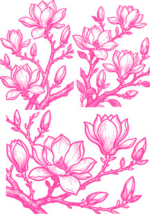 粉色玉兰花枝图案设计