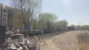 城郊河岸景象