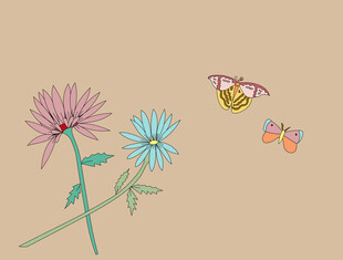 花卉与蝴蝶的清新插画