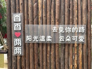 阳光温柔的木质路标