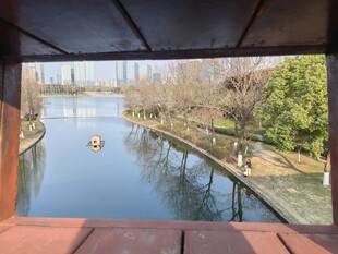 静谧水景一隅