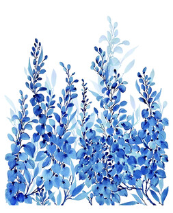 蓝色水彩风薰衣草花卉图