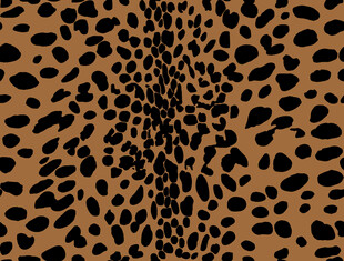 豹纹图案纹理背景