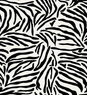黑白斑马纹图案设计