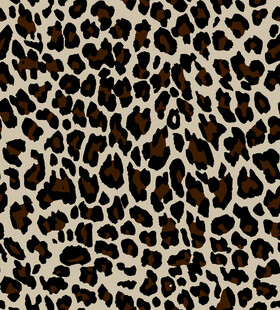 豹纹图案纹理